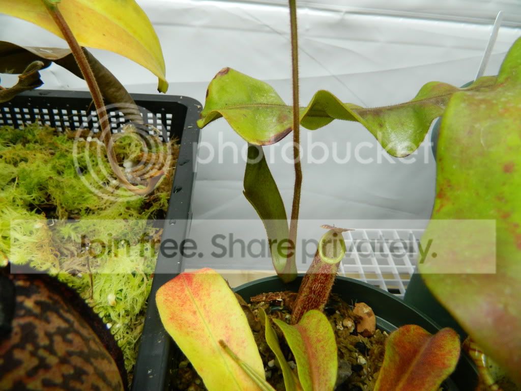 DSCN0399.jpg