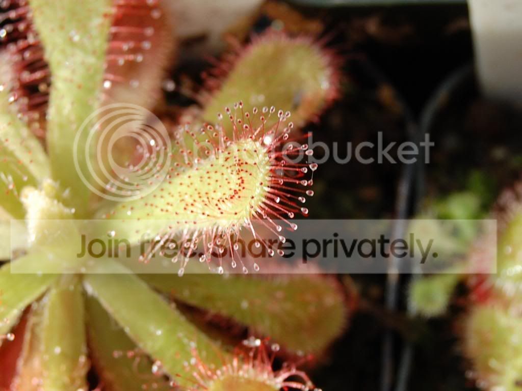 CSC_0175.jpg