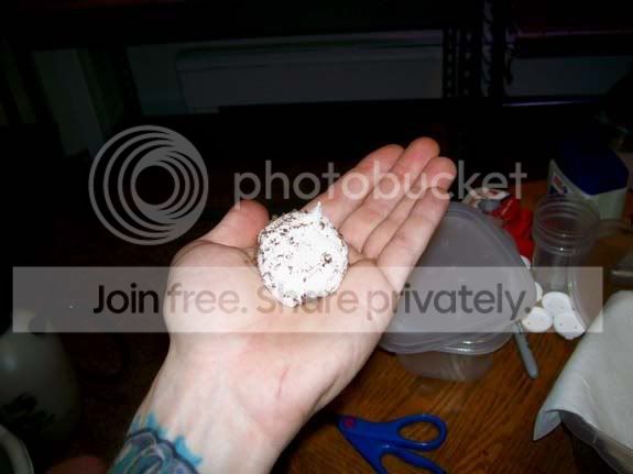 100_3369.jpg