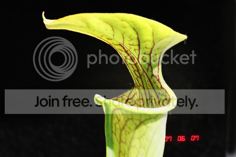 03570014.jpg