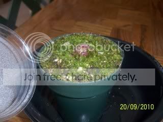 100_1365.jpg
