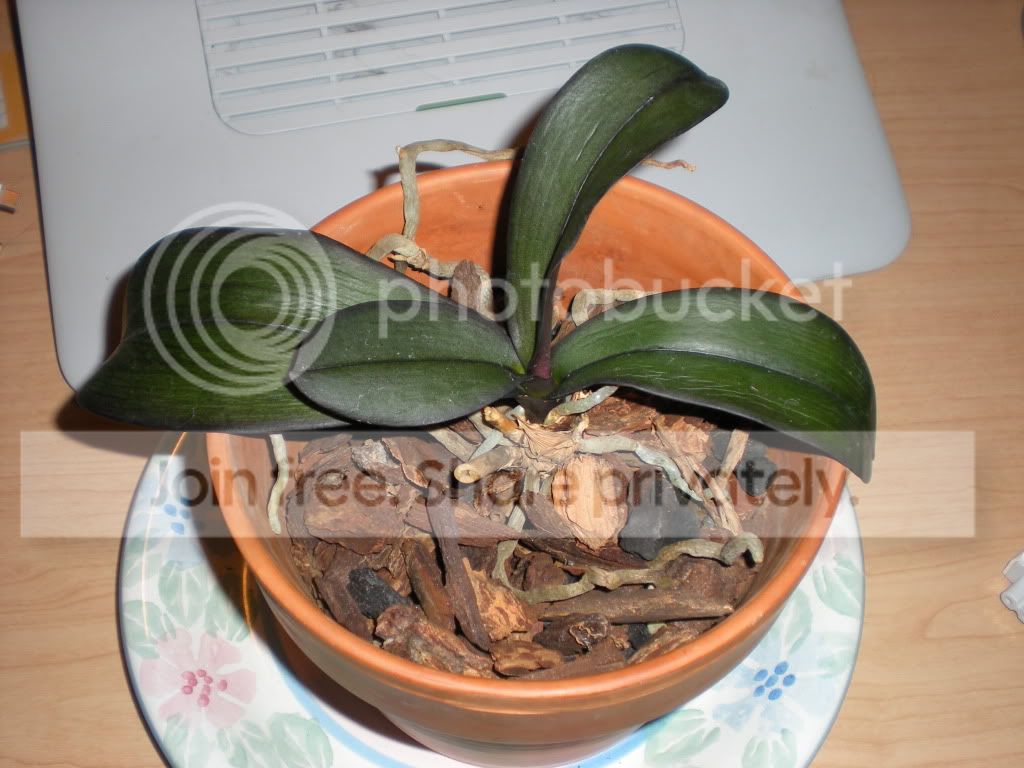 DSCN7587.jpg