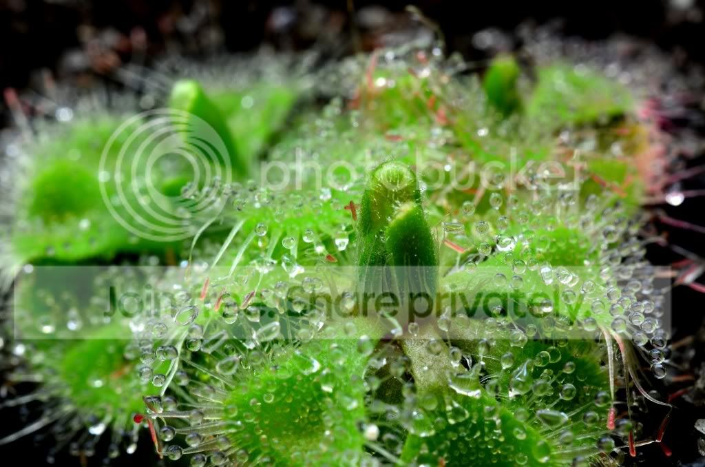 Morestuff005.jpg