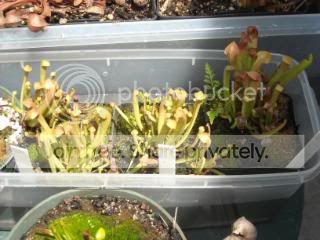 DSCN0278-2.jpg