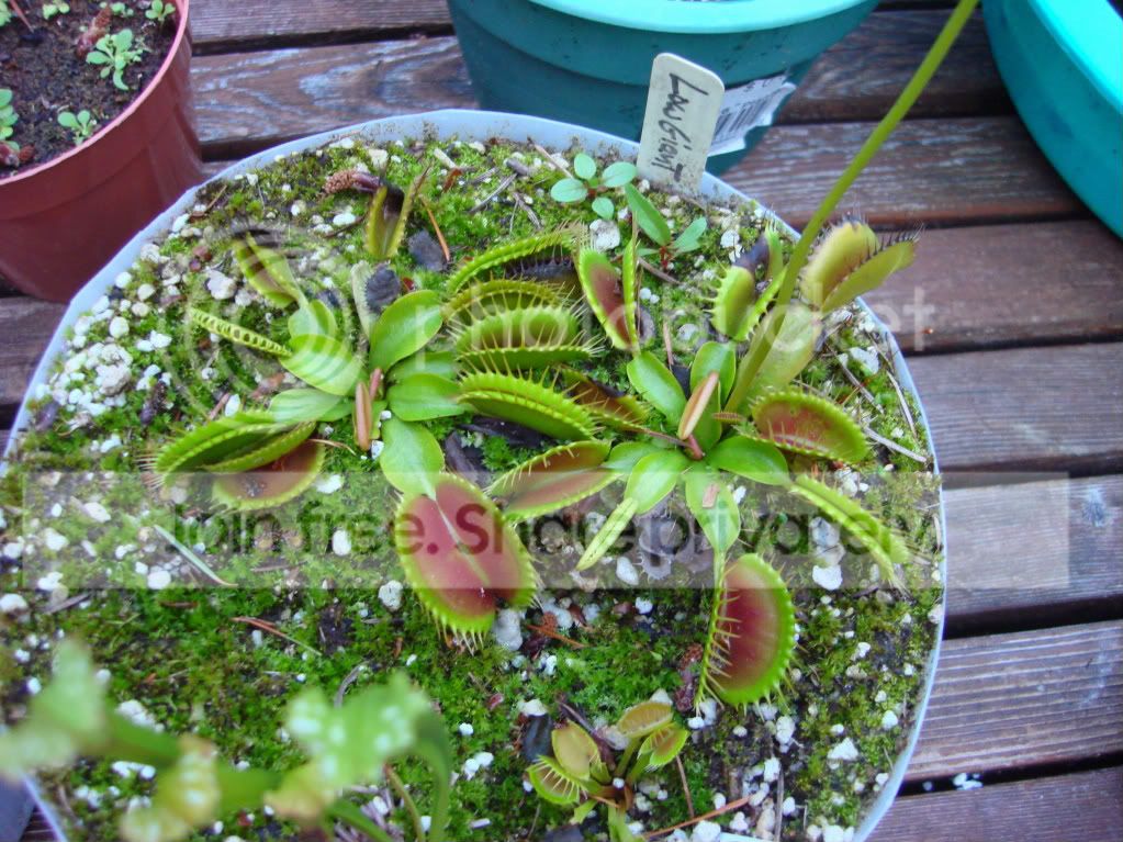 DSC026574.jpg