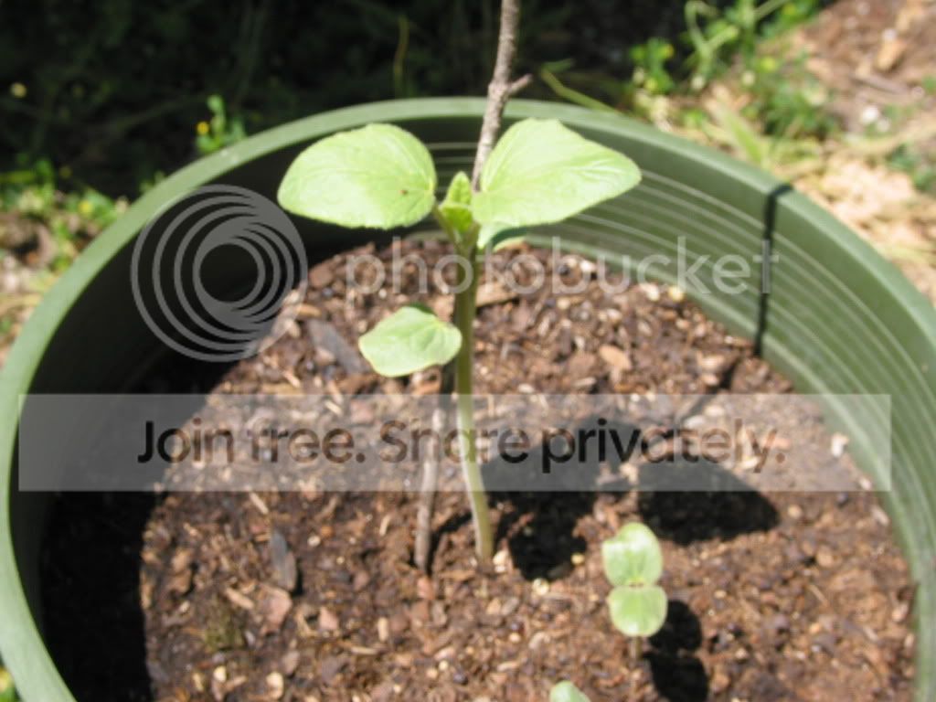 IMG_6142.jpg