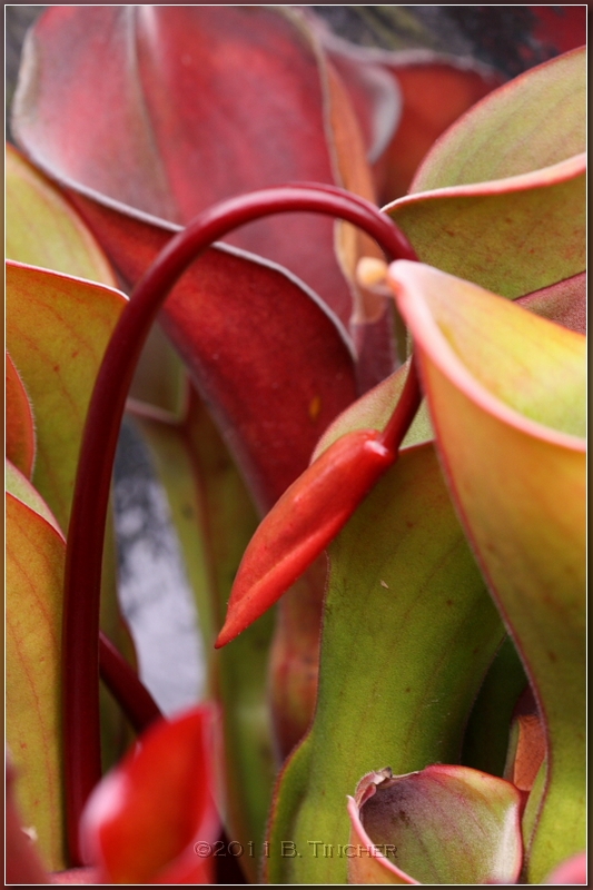 DPP_0151_hf.jpg