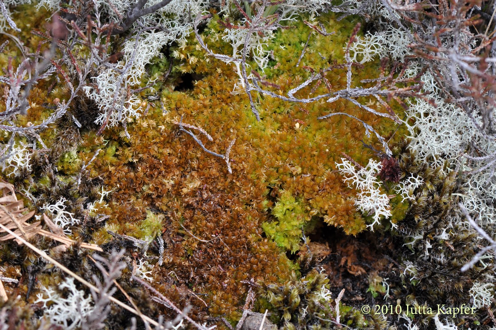 DSC_0045.2.jpg