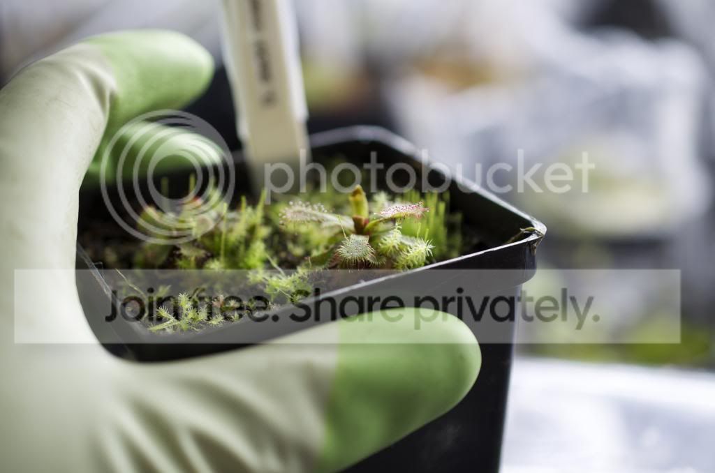 DSC_0029_zpsbe7a466d.jpg