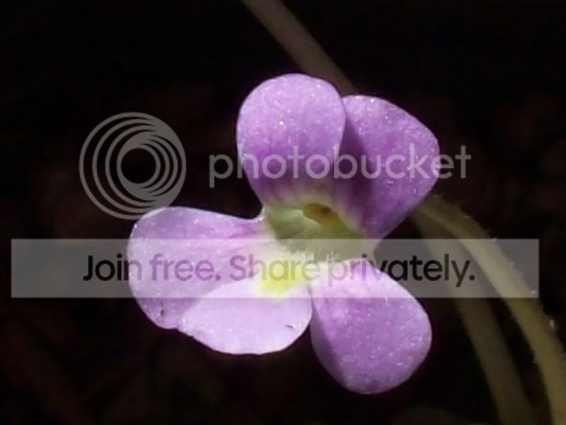100_9712.jpg