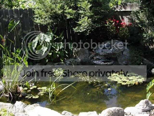 DSCN07411.jpg