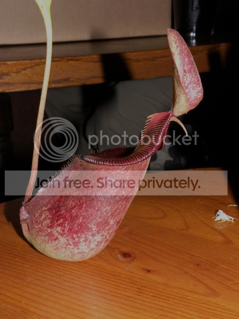 PC136569.jpg