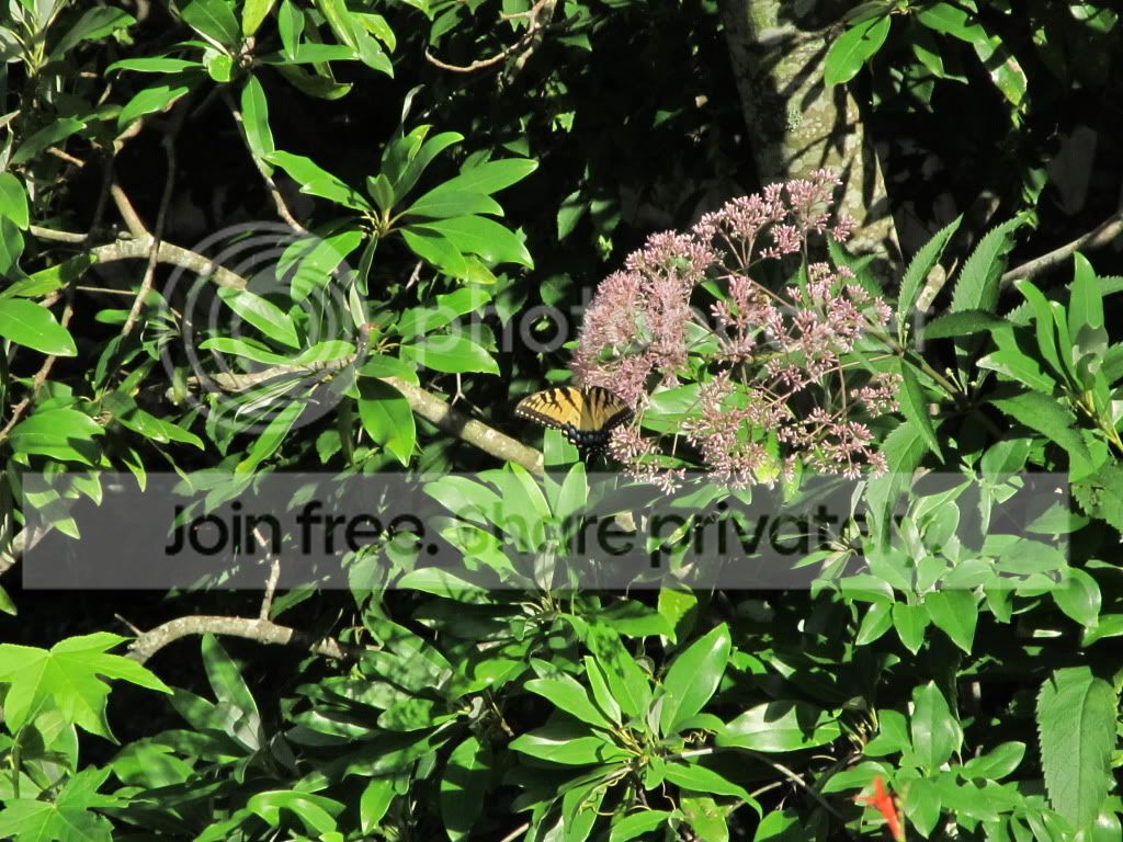 IMG_6431.jpg