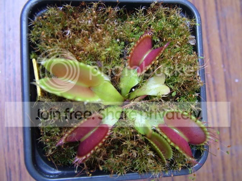 DSCF1054.jpg