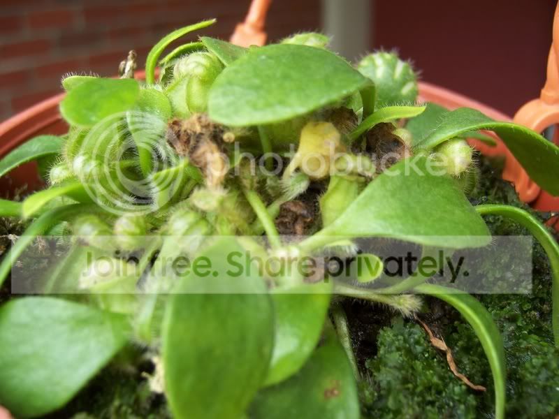 100_6778.jpg