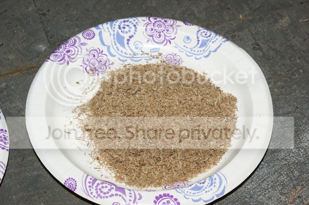 Leaf%20Cutting_005.jpg