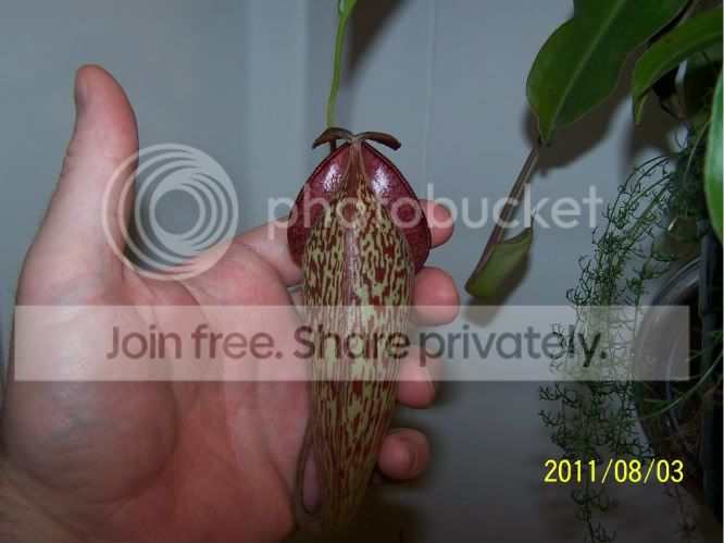 100_4977.jpg