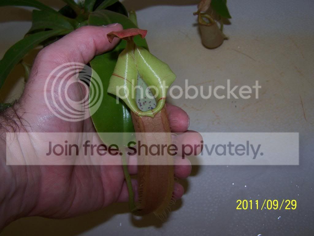100_5321.jpg