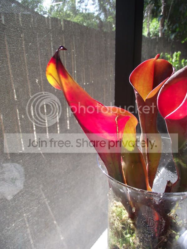 DSCF5901.jpg
