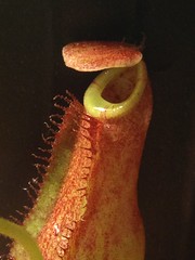 24401715900_68f0170da4_m.jpg