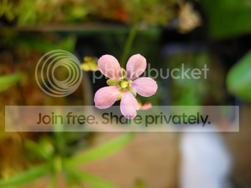 DSCN5826.jpg