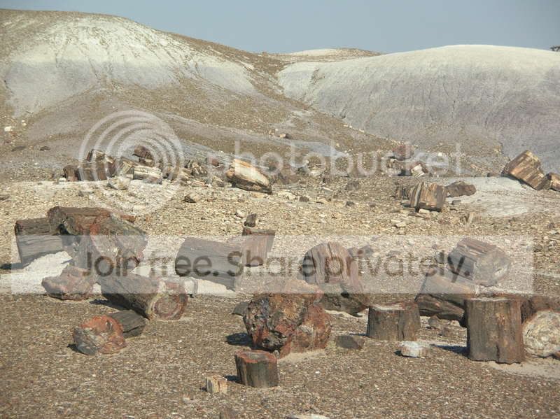 dscn1887.jpg
