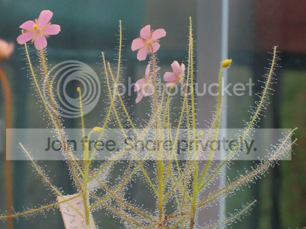 Picture006-5.jpg