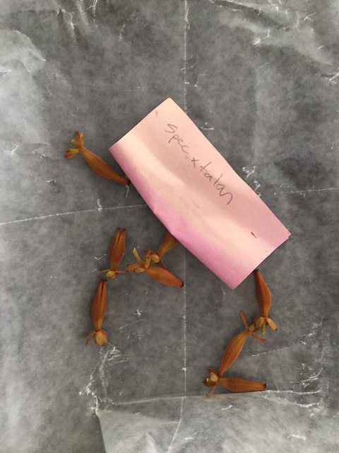 eQMJ9JQl.jpg