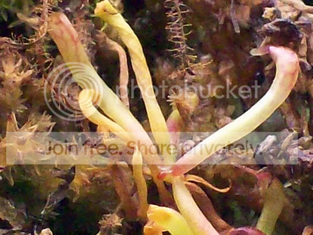 Picture075.jpg