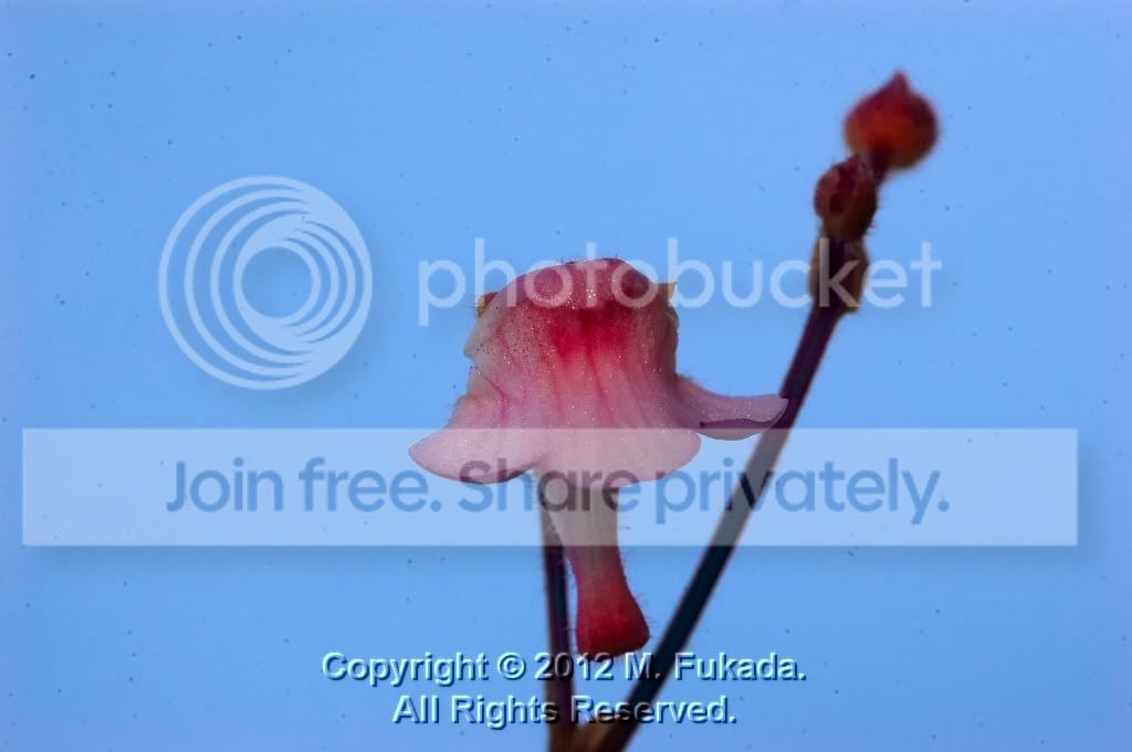 DSC_00180007_hf.jpg