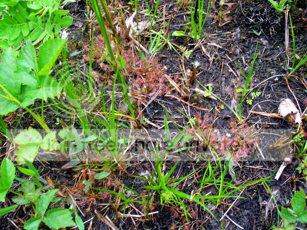 IMG_5859.jpg