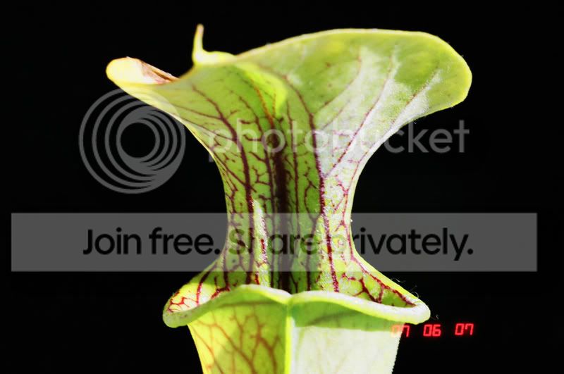 03570017.jpg