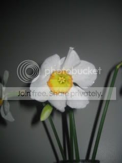 Spring2009002.jpg