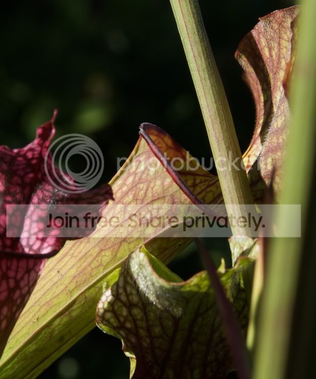 SKT_20091009_9366.jpg