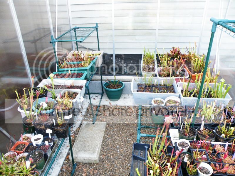 DSCF9427.jpg