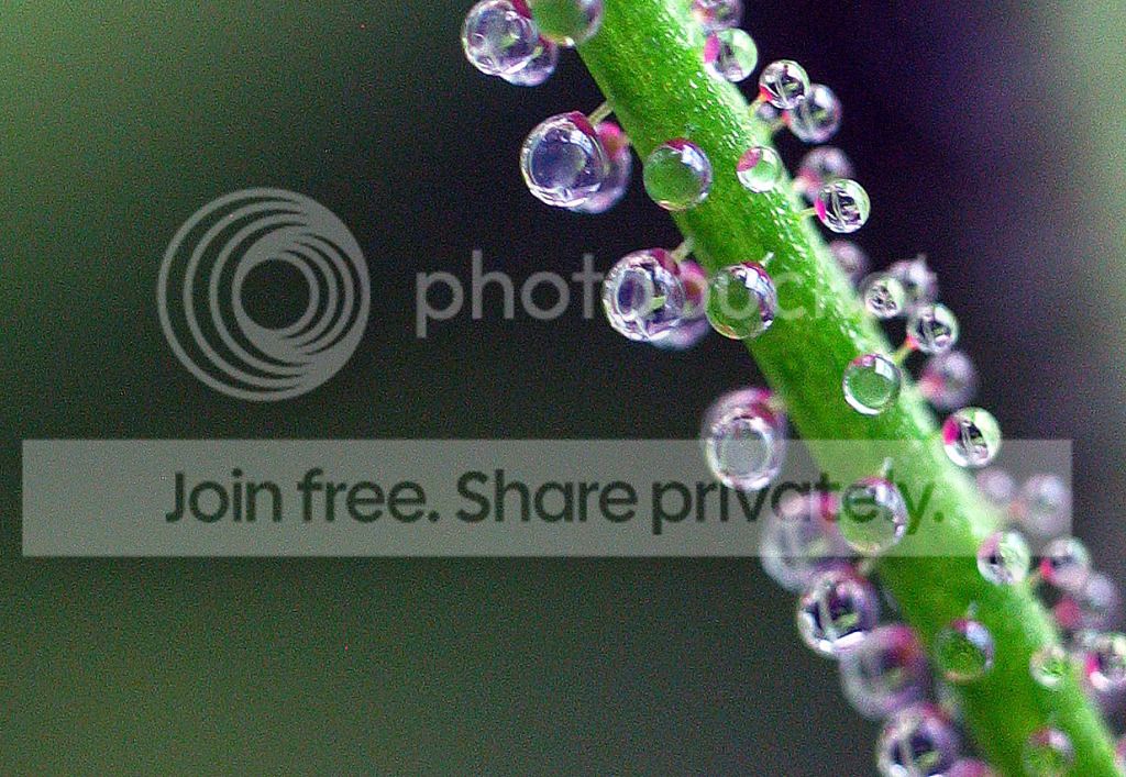 IMG_3336.jpg