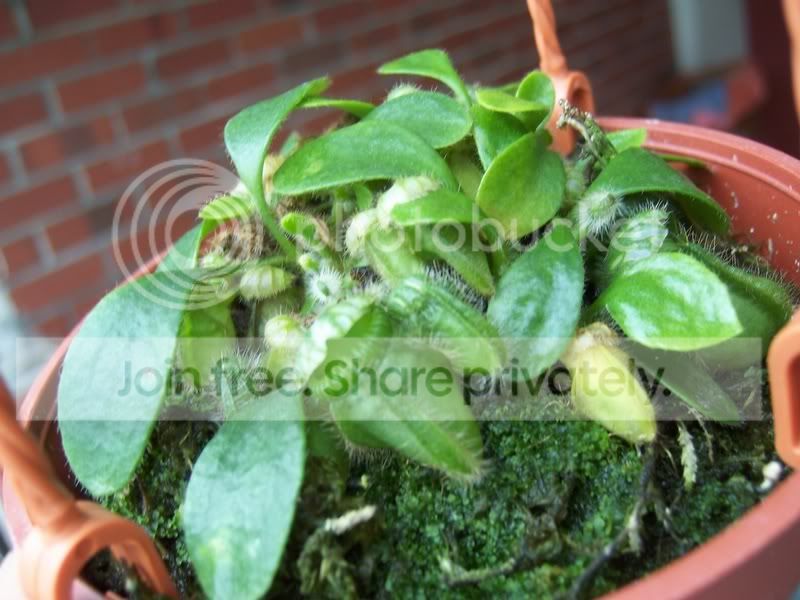 100_6777.jpg