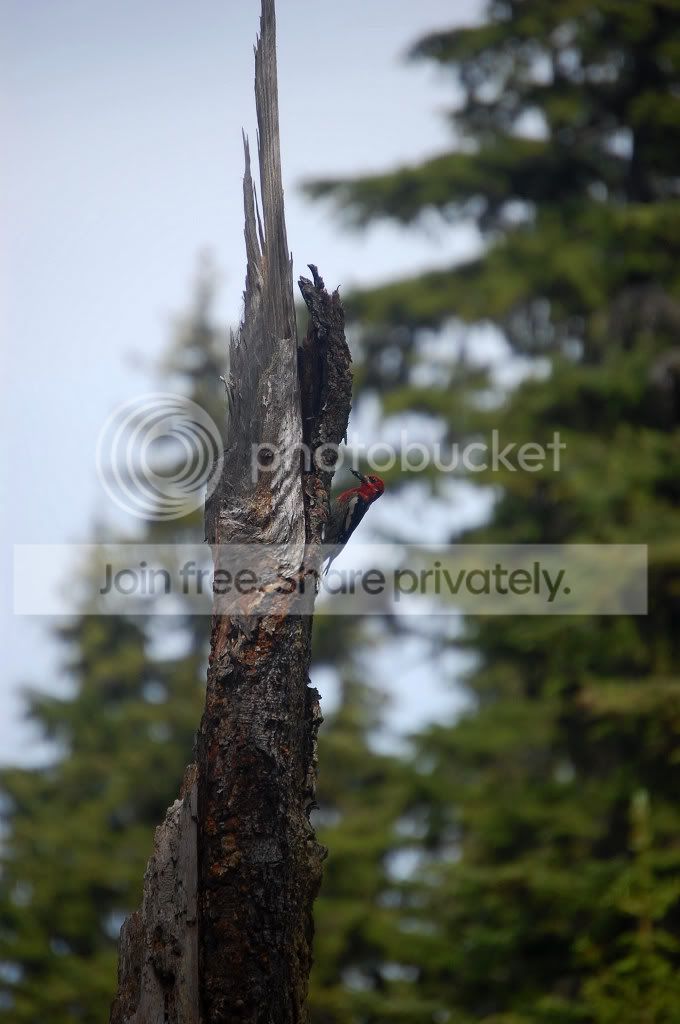 DSC_01530153_2.jpg