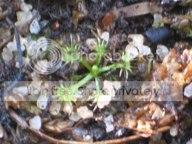 IMG_5279.jpg