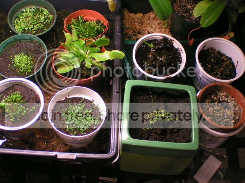 PICT0756.jpg