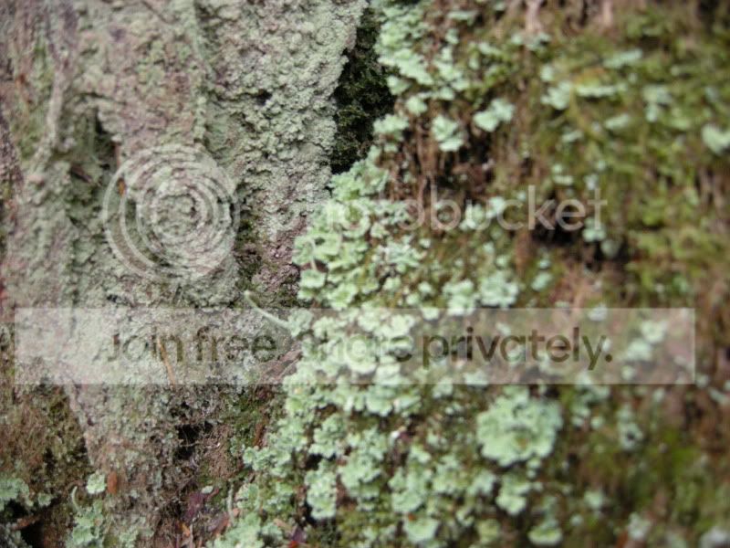 DSCN5919.jpg