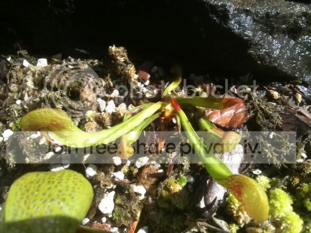 photo-21.jpg
