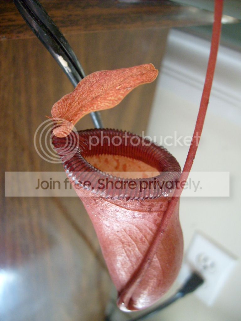 S6301105.jpg