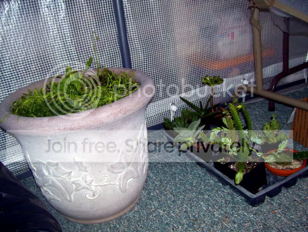 100_6065.jpg