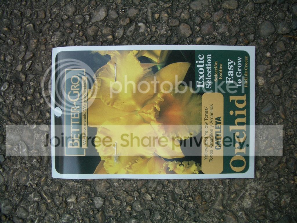 IMGP9558.jpg