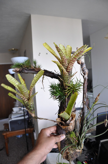5872826553_f6a91355ec_z.jpg