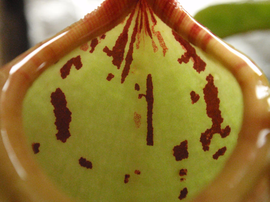sticky_lips_by_gemstatecarnivore-d4a3kj2.jpg