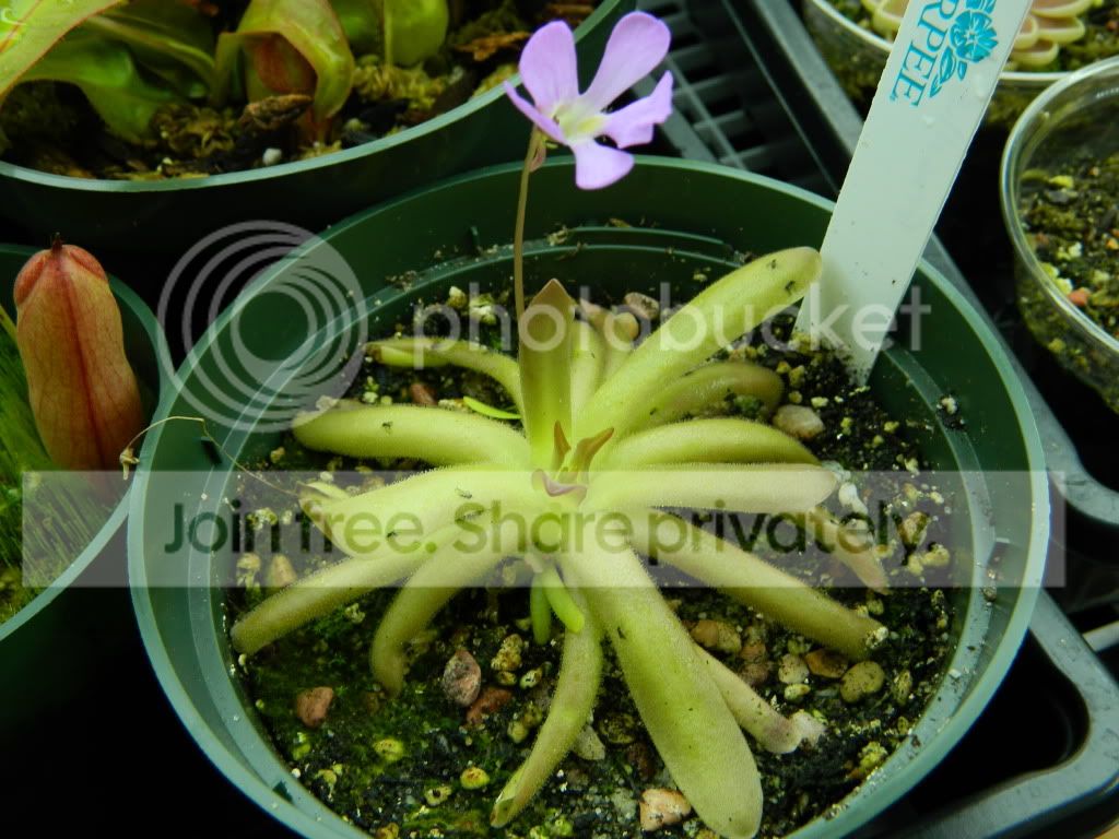 DSCN0680.jpg