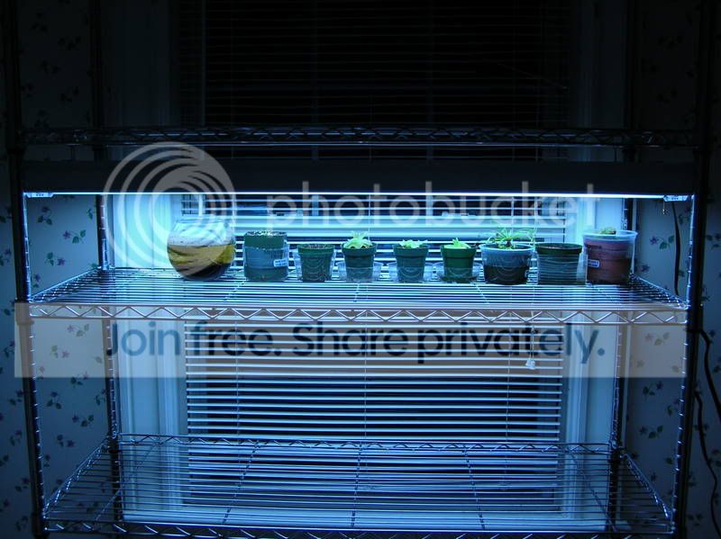 DSCN2501.jpg