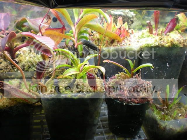 DSCN3801.jpg